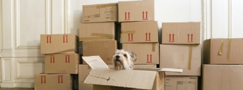 boxes